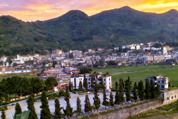 生成特定效果图片 (1).png