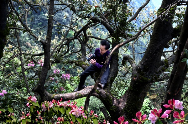 林深见影 一镜钟情——古蔺黄荆老林守山人成林(图1) 03491f09cac23ab7f86b9b0a95510806.jpg