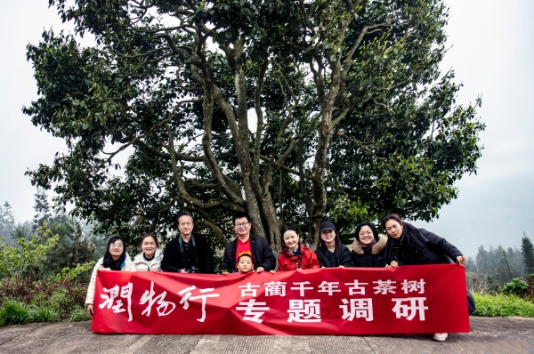 林深见影 一镜钟情——古蔺黄荆老林守山人成林(图7) 7ad6f24943d17e144655e3e8eefdc84e.jpg