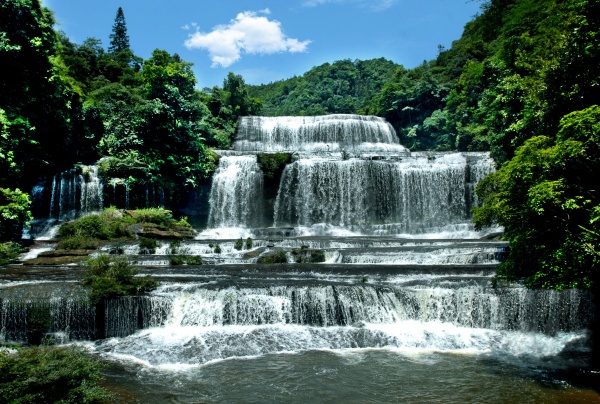 林深见影 一镜钟情——古蔺黄荆老林守山人成林(图2) f4f5f3d9f663859a823c2d97b4ec664b.jpg