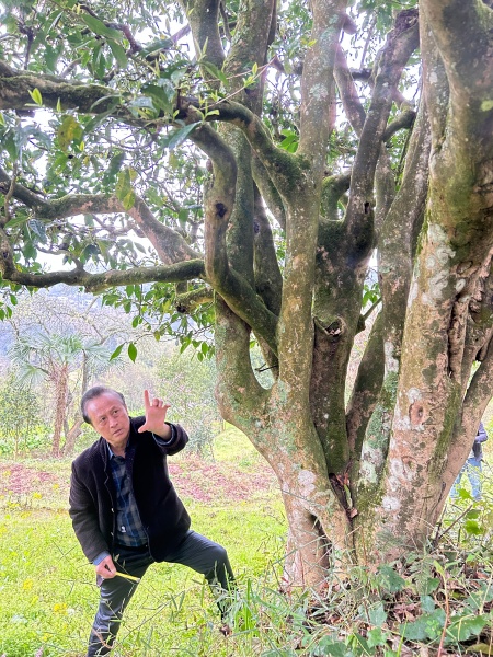 林深见影 一镜钟情——古蔺黄荆老林守山人成林(图5) 66b6e78e02a6693ece4b81dcca04fc22.jpg