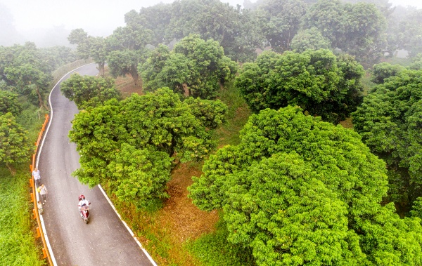 林下兴科创 果药赋新篇 ——泸州市农业科学研究院林下经济高质量发展路径研究(图7) 微信图片_20260409165156_186_3901.jpg