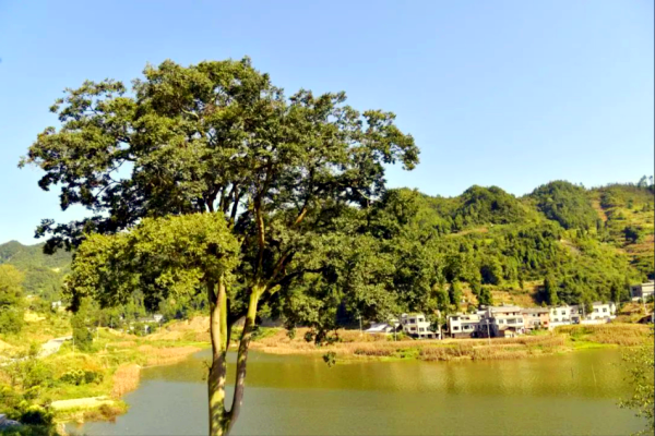 微信图片_20260504102048_3508_12_副本.png
