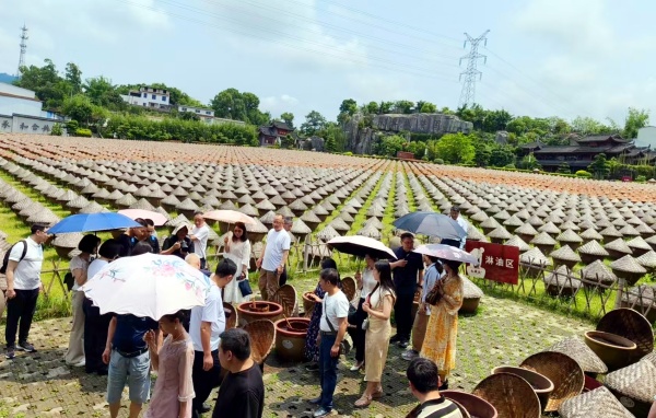 笔墨抒写乡土新篇 泸州作家走进大桥镇开展主题采风活动(图1) 微信图片_20260523182346_140_517.jpg