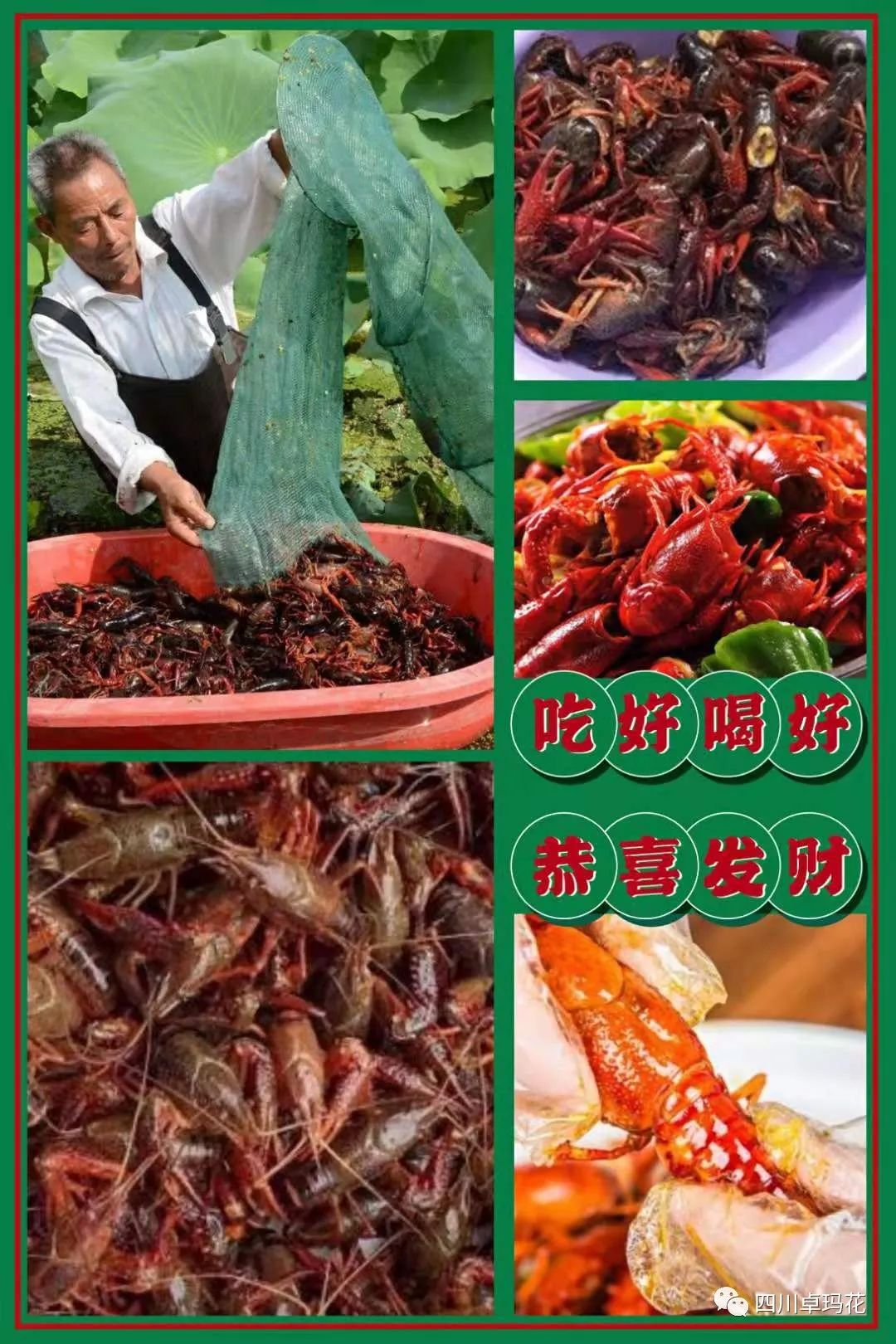 泸州:卓玛花庄园陪你度过一个不同的假期(图9) 图片