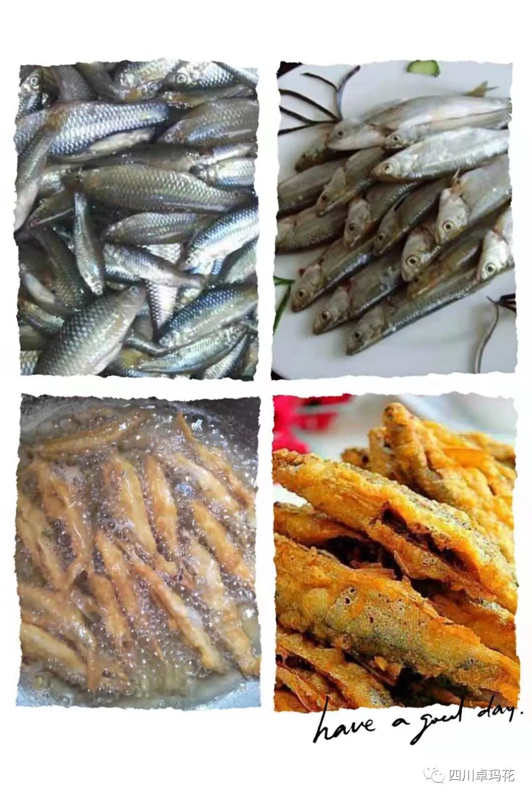 泸州:卓玛花庄园陪你度过一个不同的假期(图10) 图片