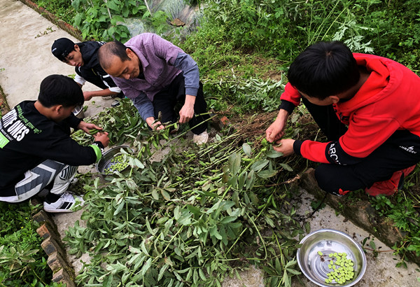 古蔺鱼化中学市级教研课题：应运而生 以飨观众(图7)