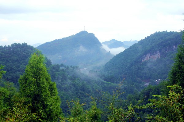 古蔺有座五台山(图2)