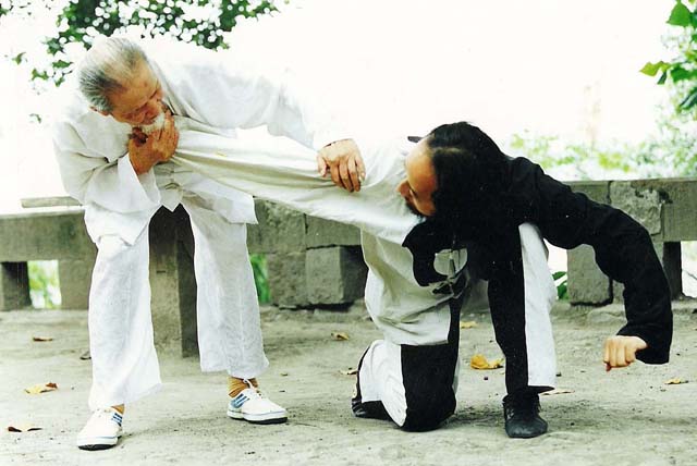 Chengdu Plus特别观察丨传播武术智慧，弘扬中华文化