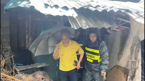 最新：泸县地震已致3死60伤安置10281人，全力救援进行中(图25)