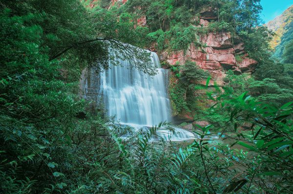 罗晓：世外之梦——黄荆老林(图4)