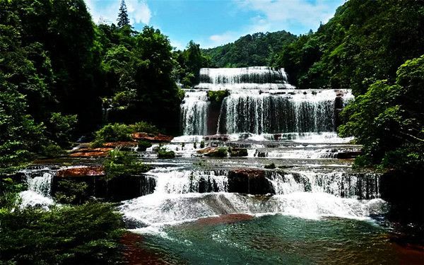 罗晓：世外之梦——黄荆老林(图1)