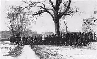 红军战士用茅台酒洗脚？这是关于长征最大的谣言(图6)