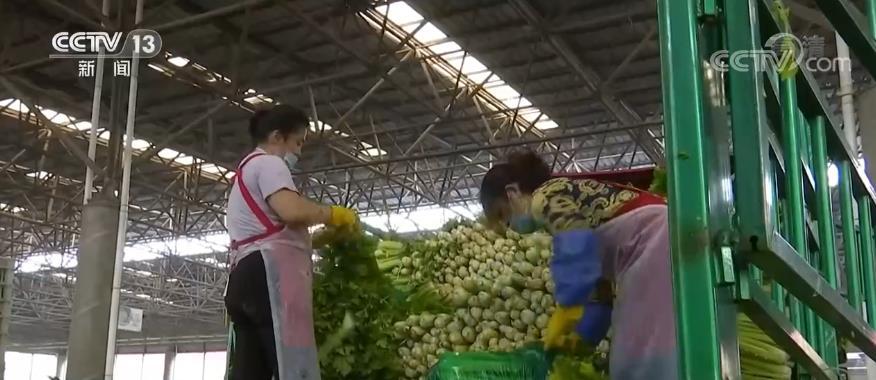 国庆期间百姓“米袋子”“菜篮子”品种丰富、供给有保障(图5)