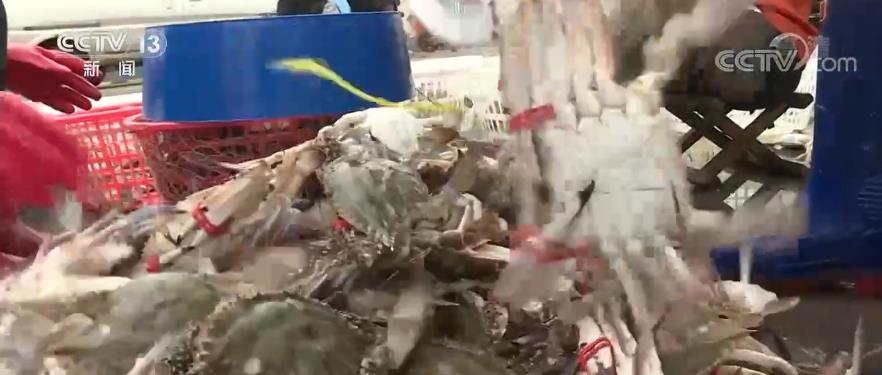 国庆期间百姓“米袋子”“菜篮子”品种丰富、供给有保障(图7)