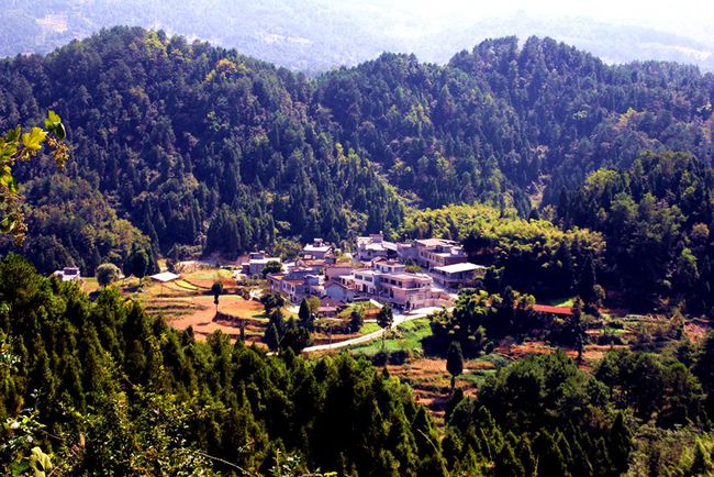 古蔺丹桂赋(图2)